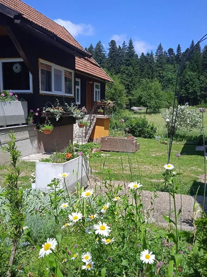 Chalet Wind & Water Villa Delnice Croatia