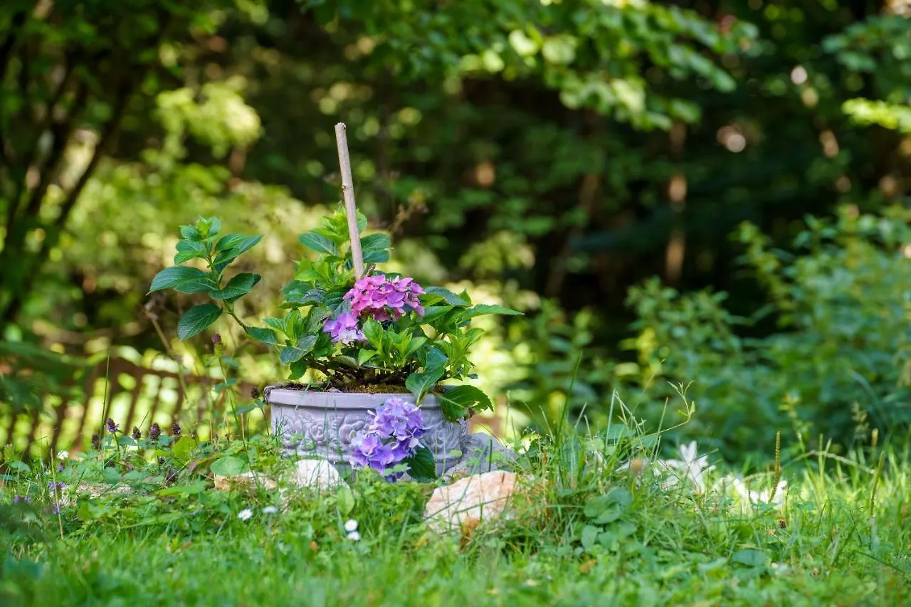 Chalet Wind & Water Villa Delnice